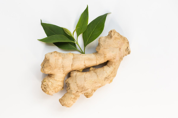 ���Ľ���