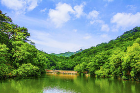 ǧɽ��̶���������