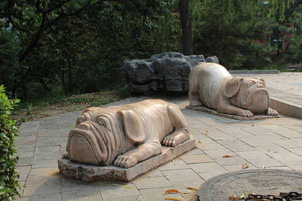 ��ֻ����