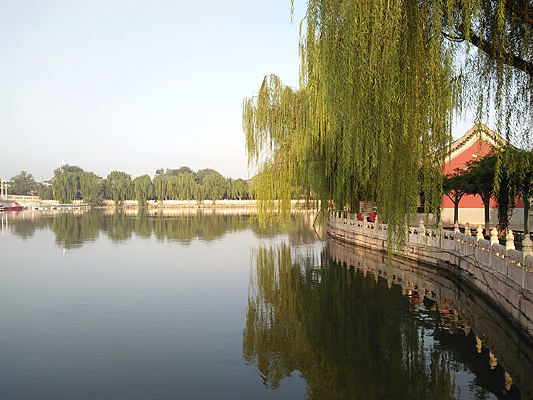 �峿��԰�־���