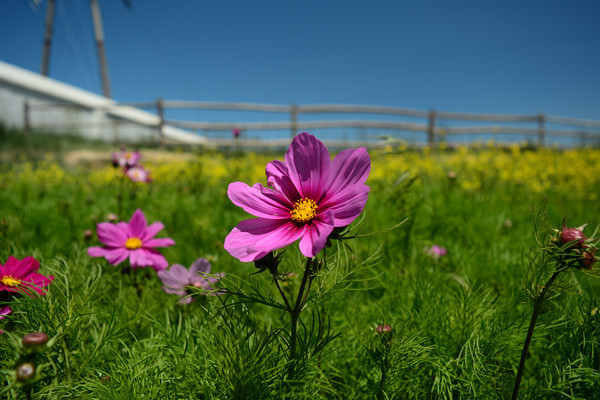 �ຣ��ɣ��