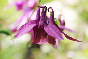 �����һ������ɫ����