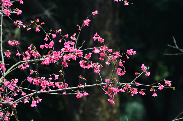 �й���ӣ��