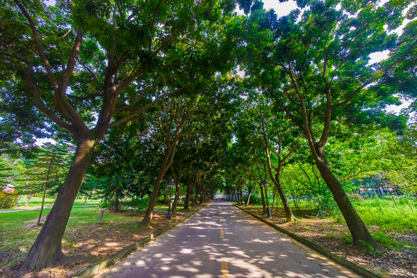 ����ѧԺ�ĵ�·