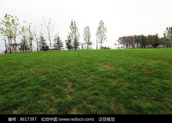 ��ɫ��ƺͼƬ