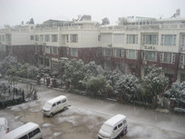 ��ѩ����