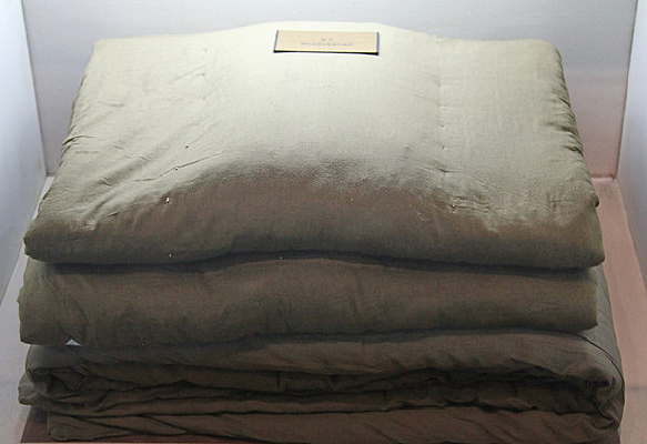 �����͹������õ��ޱ�