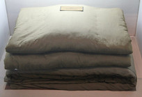 �����͹������õ��ޱ�