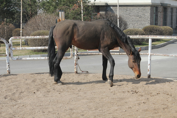 ���ɫ�Ŀ���