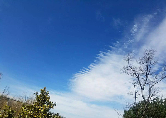 ���ư��ƻ������