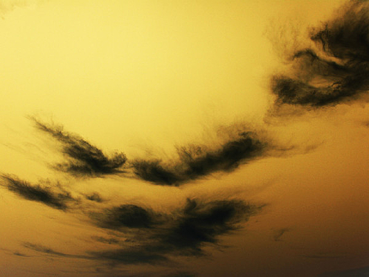 ���زĻ���