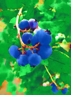 ���Ի�����ݮ��ʵ��