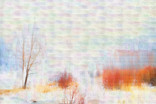 ���Ի���ѩ�к�����