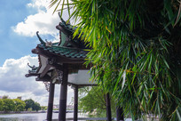 ���ߵ���ͤ