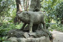 �������Ź�԰��Ф