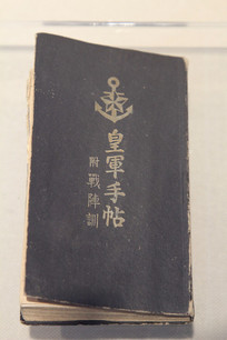 �ֻ��վ��ʾ�����