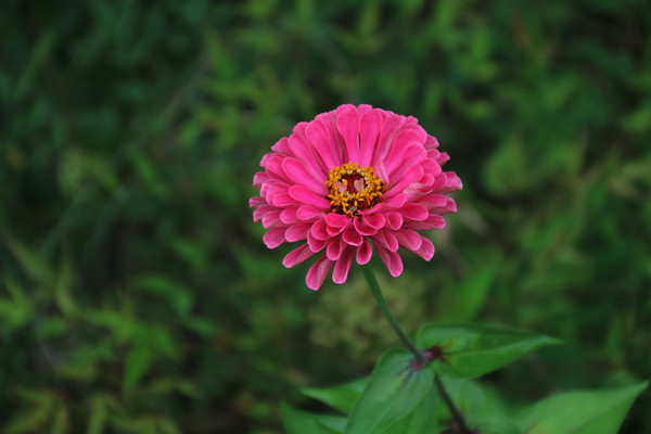 ΢����Ӱ�ۺ�С��