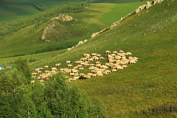 ��ɽ����