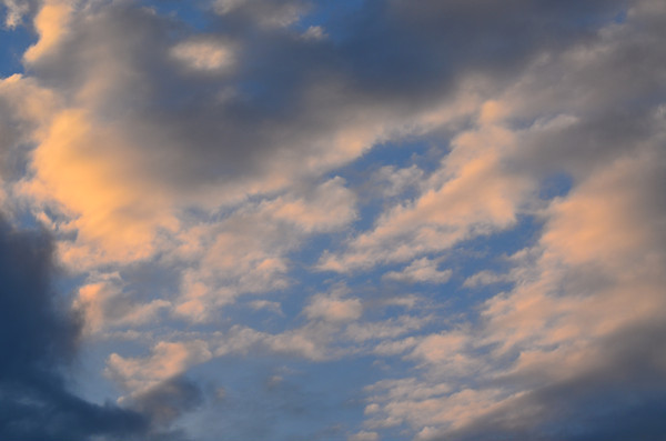 ��ɫ���ƶ�