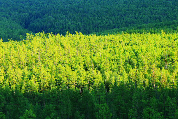 ��ɫ���ֺ��羰