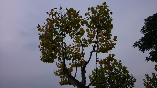 ����ķ���