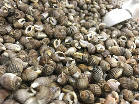 ֯���ݺ���