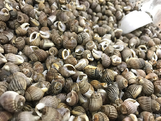 ֯���ݺ���