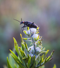 ����ϵ�����