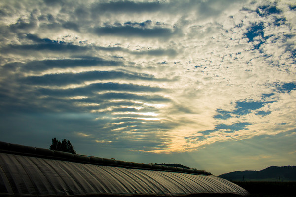 ũҵ�����ϵ����