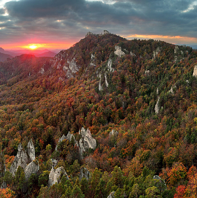 ɭ������羰