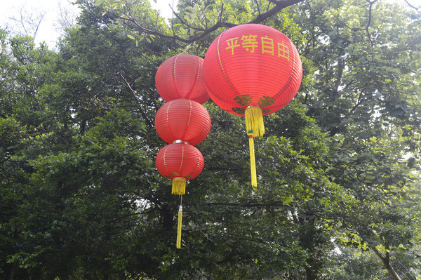 ��ľ �����