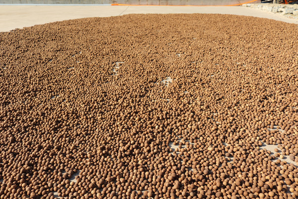 С�Һ�����