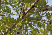 �����֪��