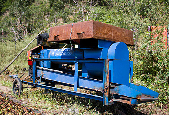 �����Ƥ��