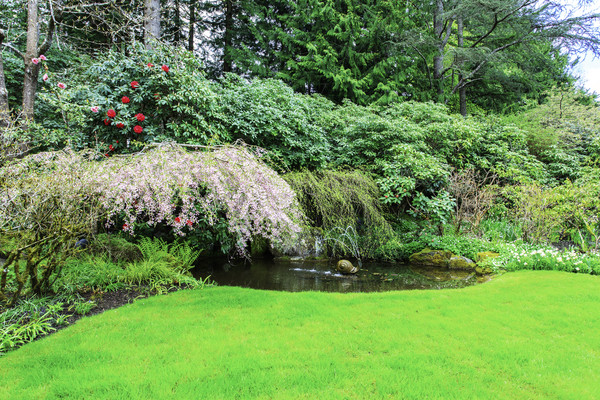 �ݵ���Ȫ��ţ