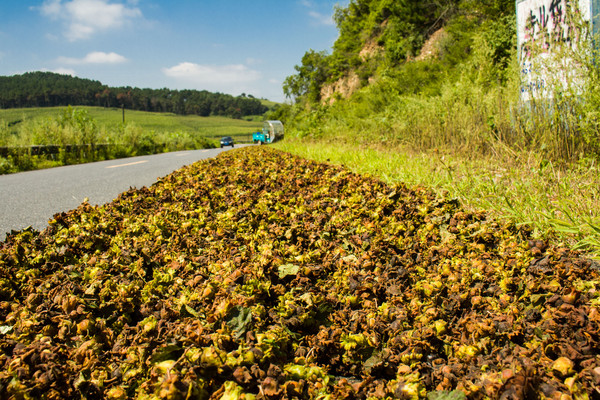 ��·��ɹ����