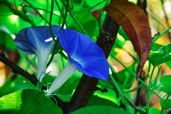 һ������