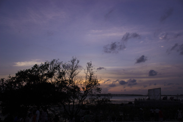 �������������