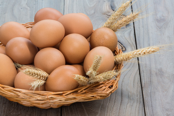 ��������ļ���