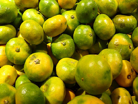 ��ɫ�Ľ���