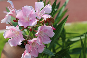 Ⱥ�����º�