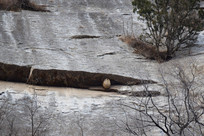 �����ϵķ���