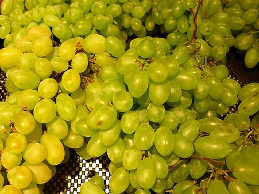 һ������