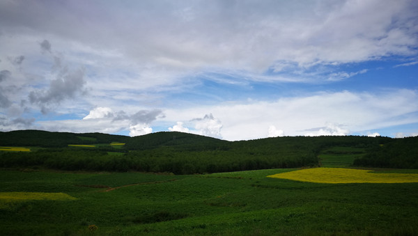 ������Ʋݵ�