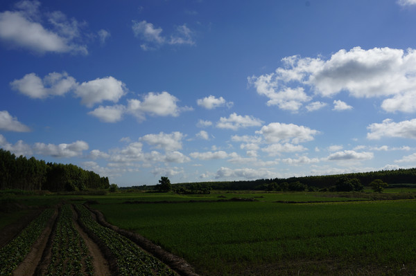 �������ͼƬ