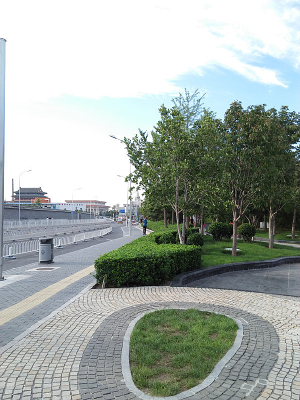 ��ͷ����