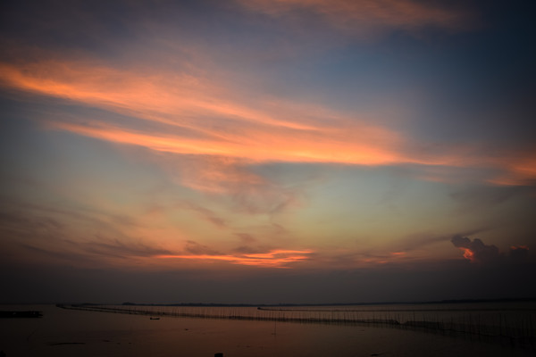 ��������Ʋ�