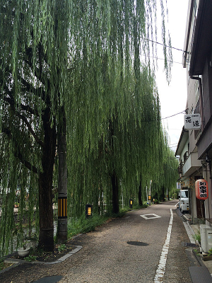 �ձ����洹����