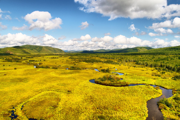 ɽ�ֲݵ������ĺ��� ���� 