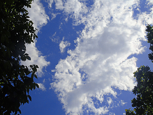 ��պ�����  